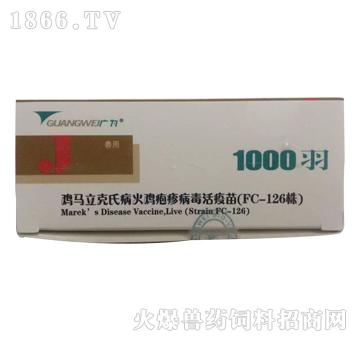 鸡马立克氏病火鸡疱疹病毒活疫苗（FC-126株）1000羽