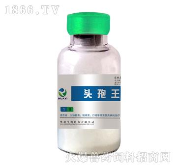 頭孢王-用于雞大腸桿菌、白痢、副傷寒、支原體