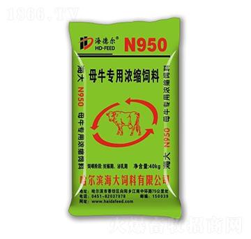 N950母牛專用濃縮飼料