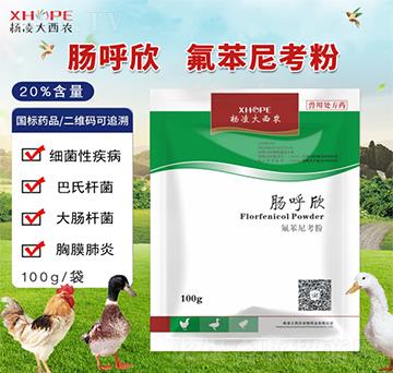 腸呼欣-氟苯尼考粉-用于敏感細菌所致的豬、雞及魚的細菌性疾病