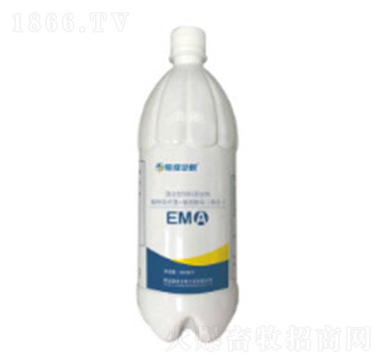 EMA